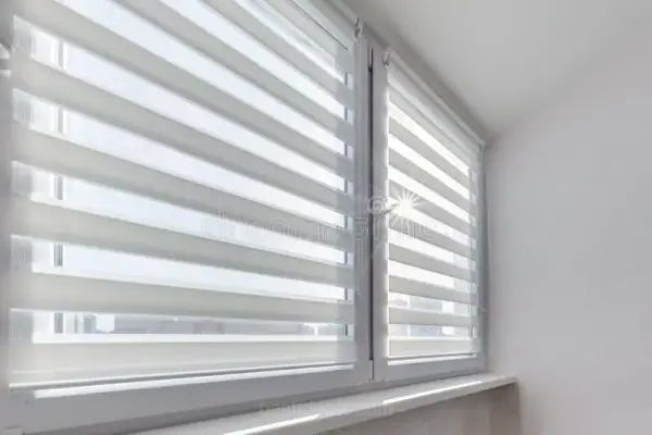Window Blinds